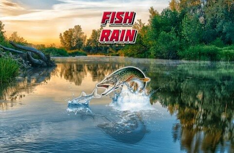 Fish Rain